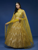 House of Panchhi Mustard Net Sequinse Work Lehenga & Blouse, Dupatta