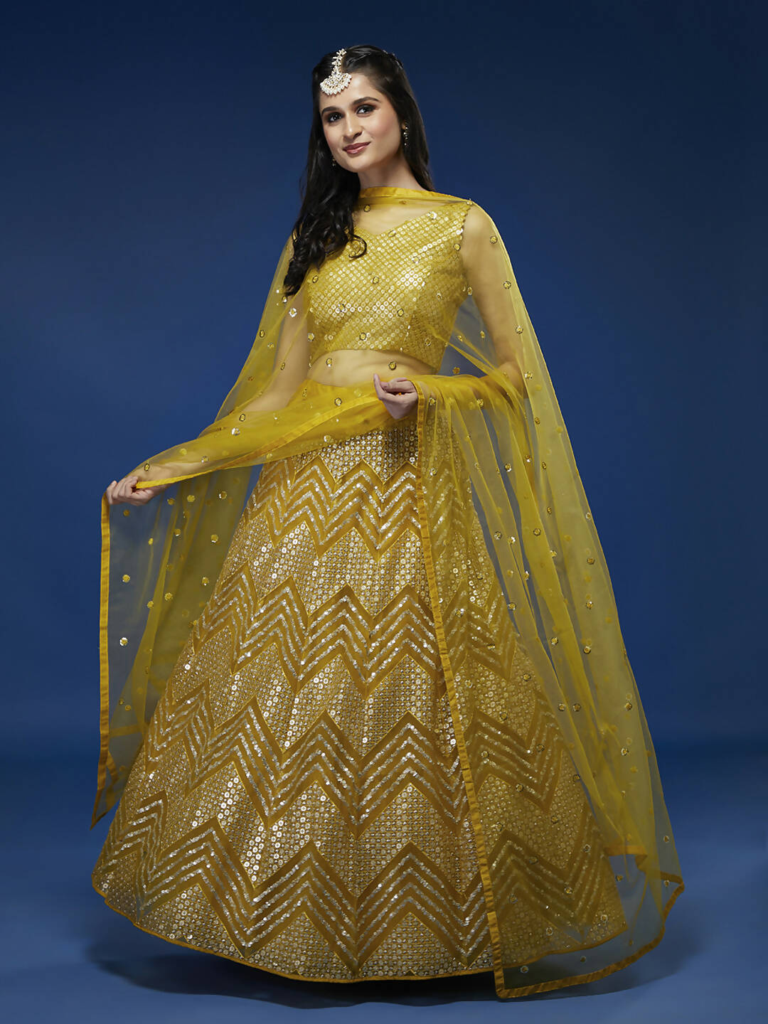 House of Panchhi Mustard Net Sequinse Work Lehenga & Blouse, Dupatta