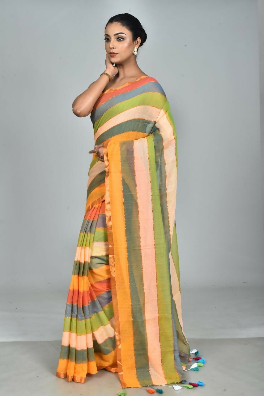 ECKCHStripSareeMulti3 (2)