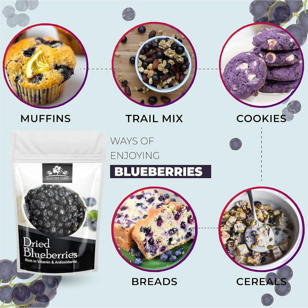 Nature Yard Dried Blueberry, Whole Dried Cranberry, Goji Berry, & Kiwi dry fruit - Distacart