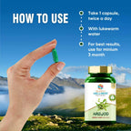 Search Wellness Hadjod Capsules - Distacart