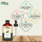 Organic Zing Curry Leaf Oil (Murraya koenigii) Oil