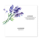 Juicy Chemistry Lavender Essential Oil