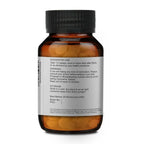 Merlion Naturals Gymnema 500mg Tablets - Distacart