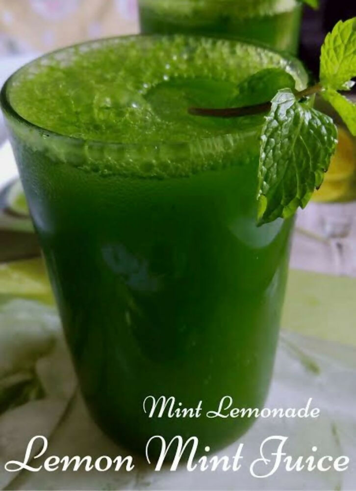 Shuddh Natural Mint Powder - Aromatic Flavor - Distacart