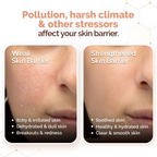 Mamaearth Chia Oil-Free Moisturizer with Chia Seed & Ceramides for Healthy Skin Barrier