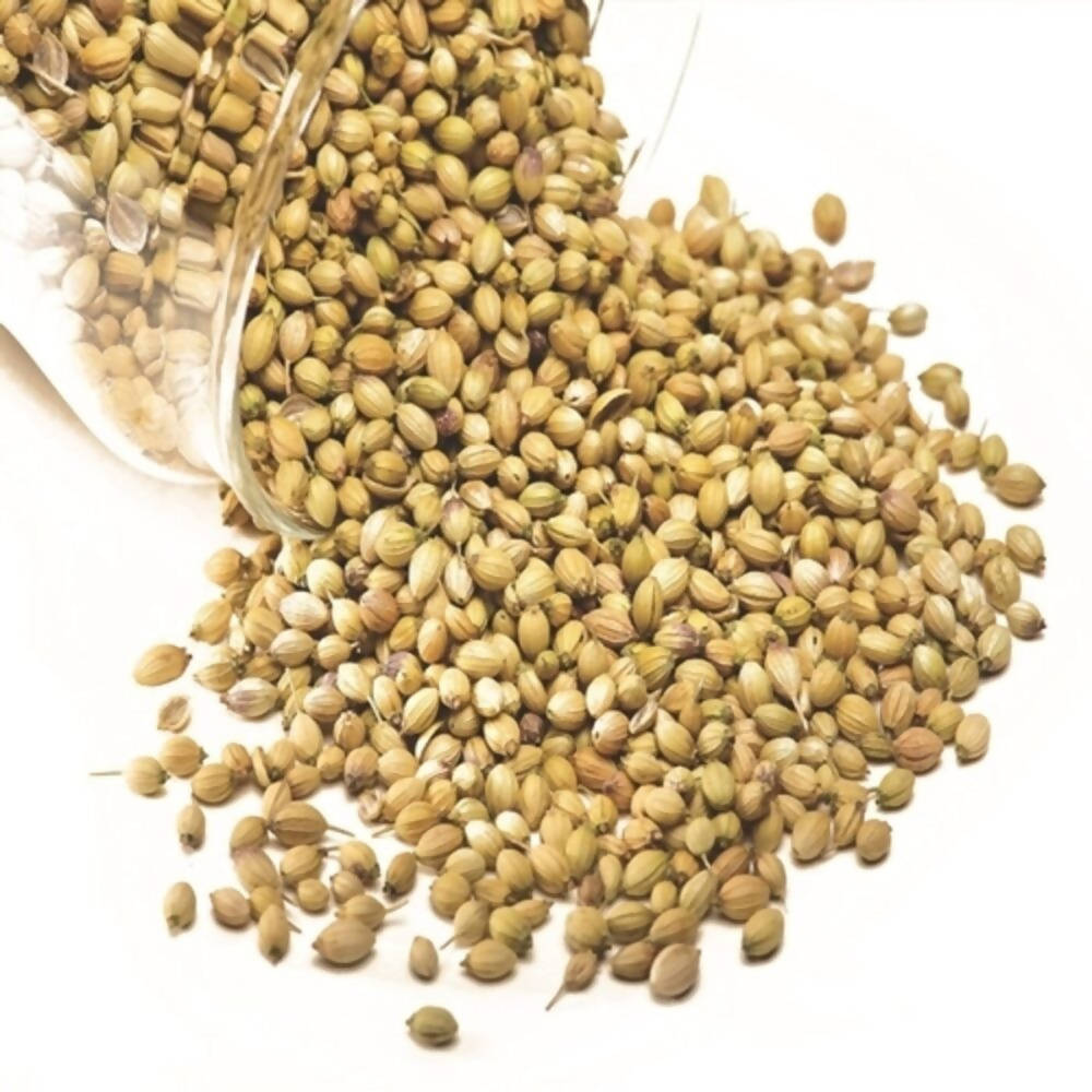 Freshon Coriander Whole 