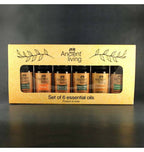 Ancient Living 6 Essential Oils Set