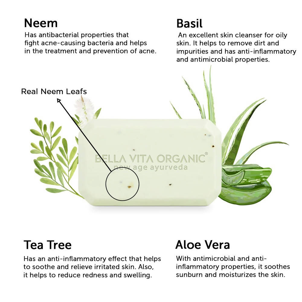 Bella Vita Organic Detox Body Wash Bar