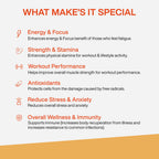 MyFitFuel Men Advance Daily Multivitamin Capsules