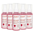 Jiva Ayurveda Rose Water Plain