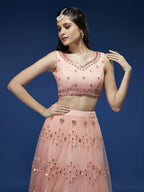 House of Panchhi Peach Net Sequinse Work Lehenga & Blouse, Dupatta