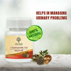 Life Aveda Urethritis Relief - Distacart