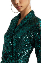 Zaccai Women's Green Poly Elastane Sequined Dress - Distacart
