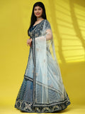 Blue Fancy Net Sequence Embroidered Lehenga Choli with Dupatta - Dhara