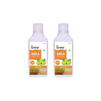 Zindagi Amla Premium Juice (Sugar Free)