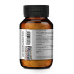 Merlion Naturals Gymnema 500mg Tablets - Distacart