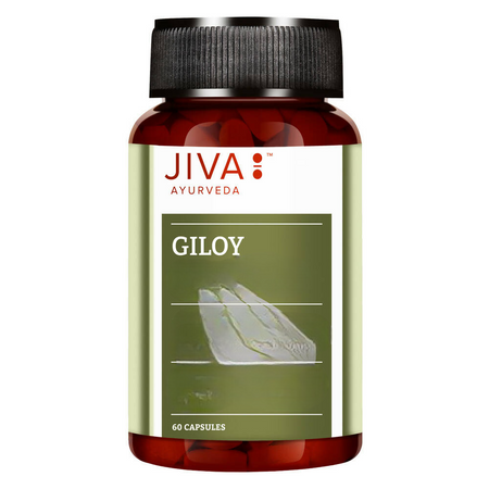 Jiva Ayurveda Giloy Capsules