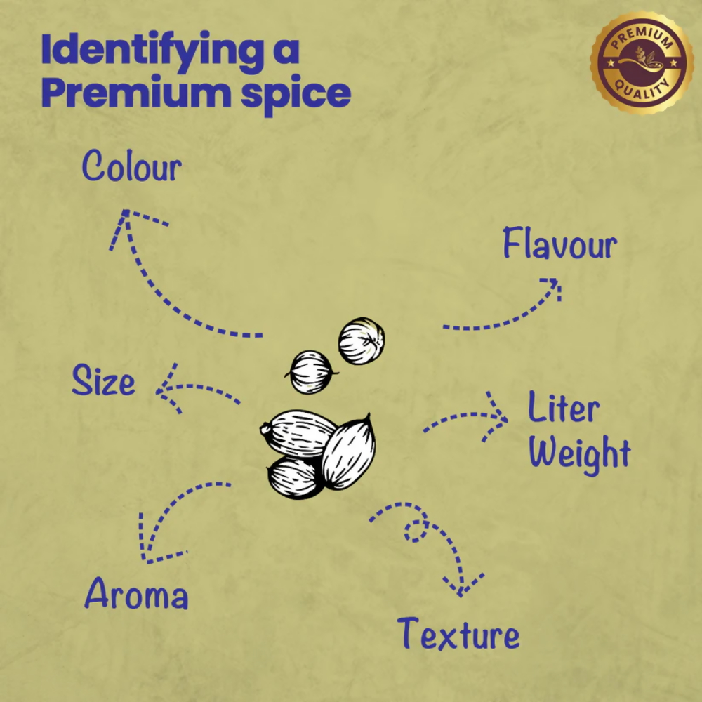 Crista Spices Coriander Powder - Distacart