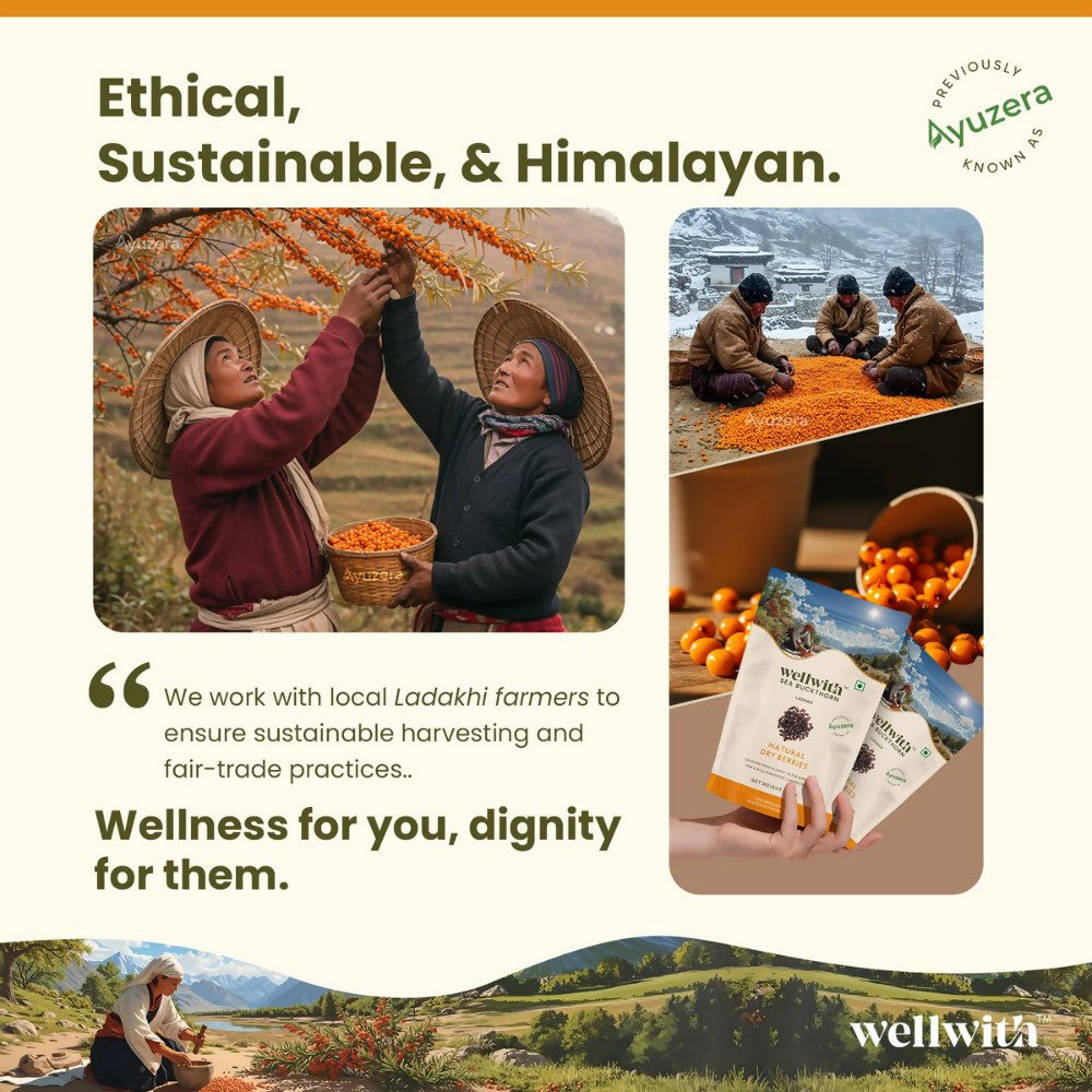 Wellwith Sea Buckthorn Dry Berry