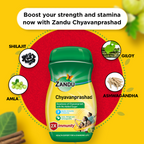 Chyavanprashad - 900 Gm