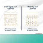Dove Advanced Sensitive Care Bar With Ceramide And Nutrient Cream