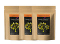 Dark Forest Skin Care Range Combo