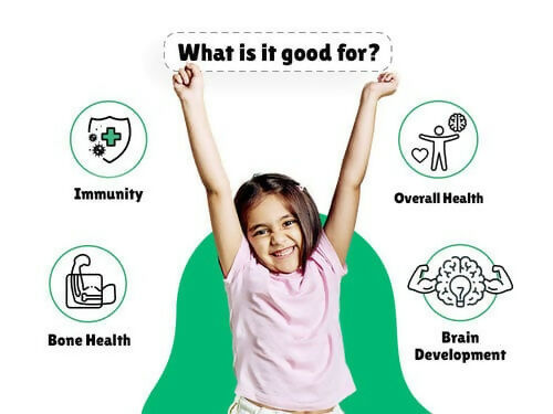 Little Joys Nutrimix Nutrition Powder 2 - 6 yrs + Multivitamin Gummies Combo - Distacart
