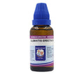 Father Muller Clematis Erecta Dilution - Distacart