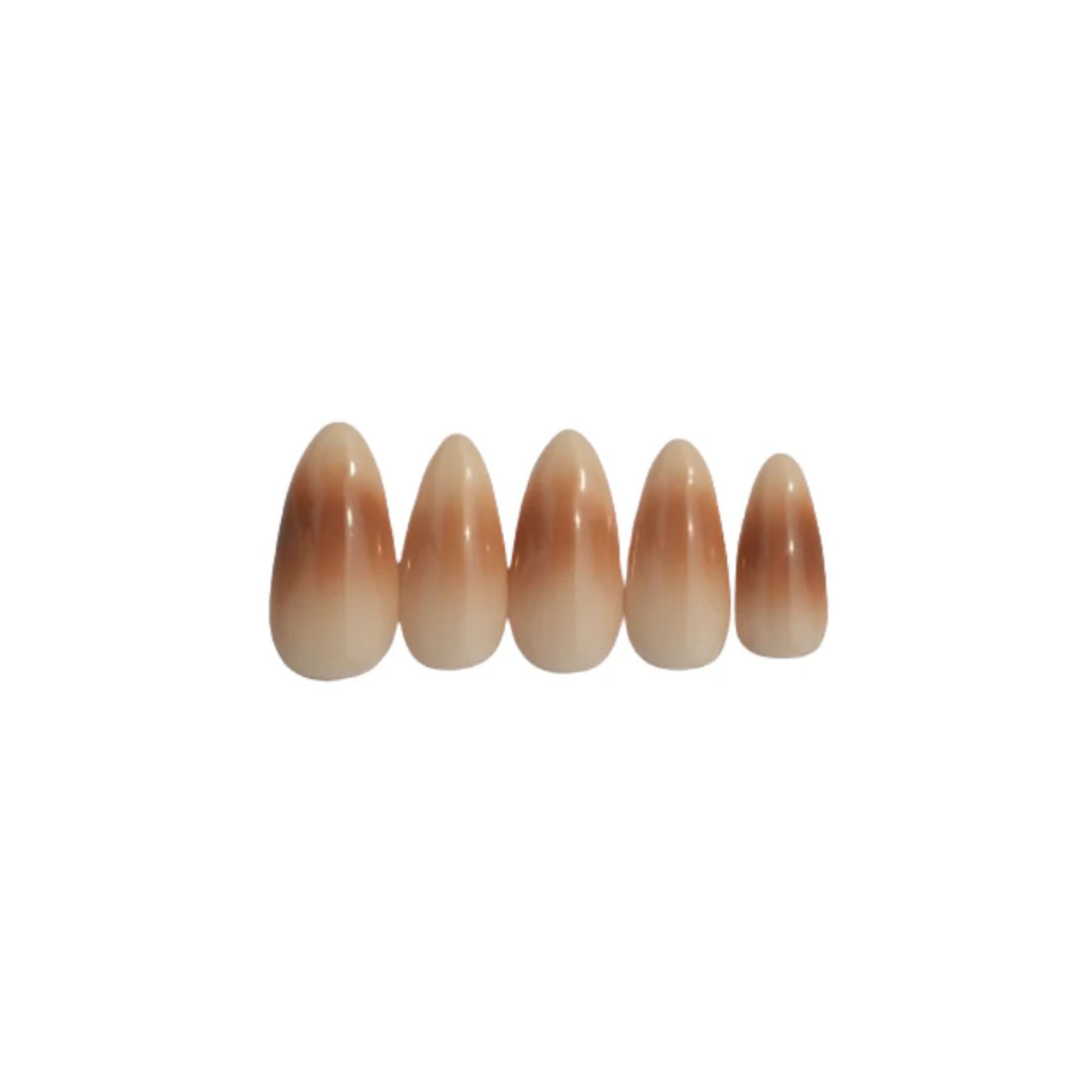SOEZI Cafe Delight Reusable Press On Nails - Ready To Wear Kit