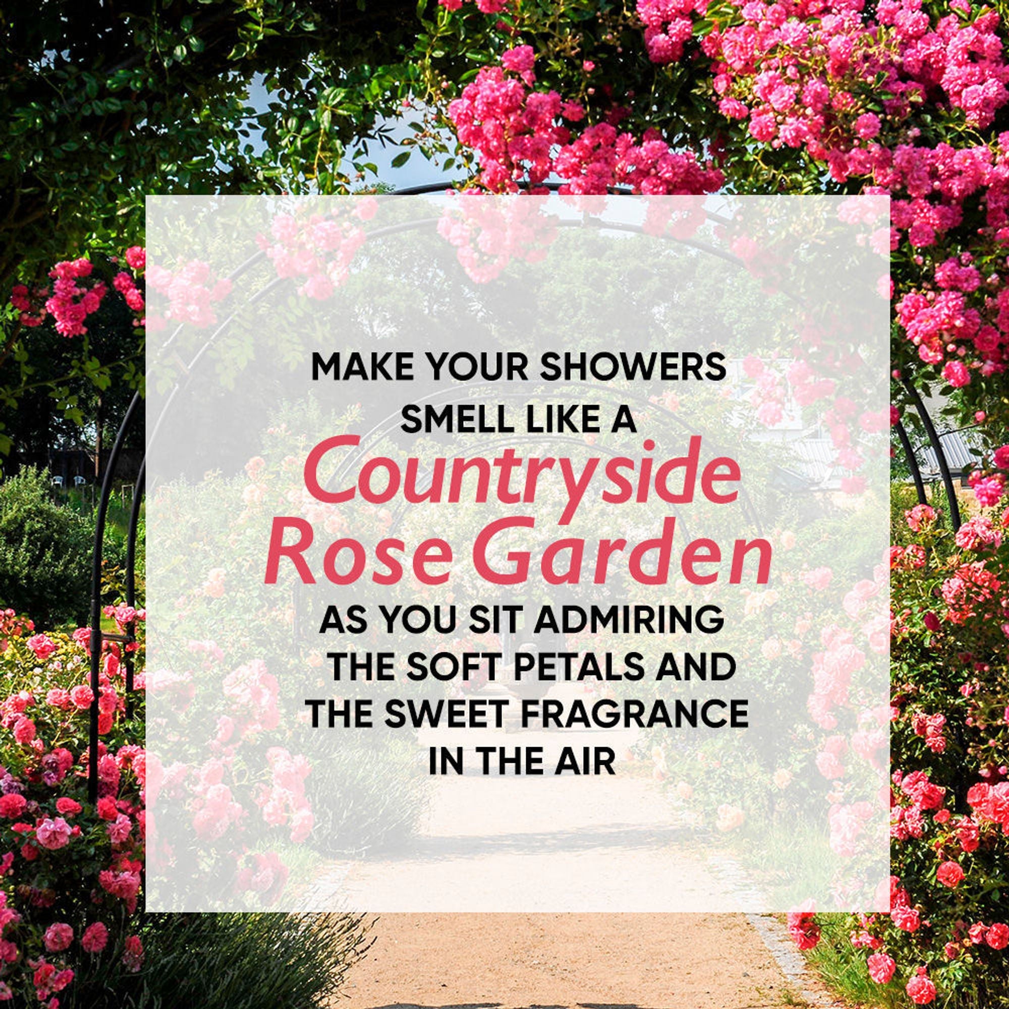 Wanderlust Shower Gels - Country Rose