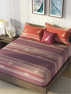 Nautica Purple & Orange Striped Cotton 160 TC King Bedsheet With 2 Pillow Covers