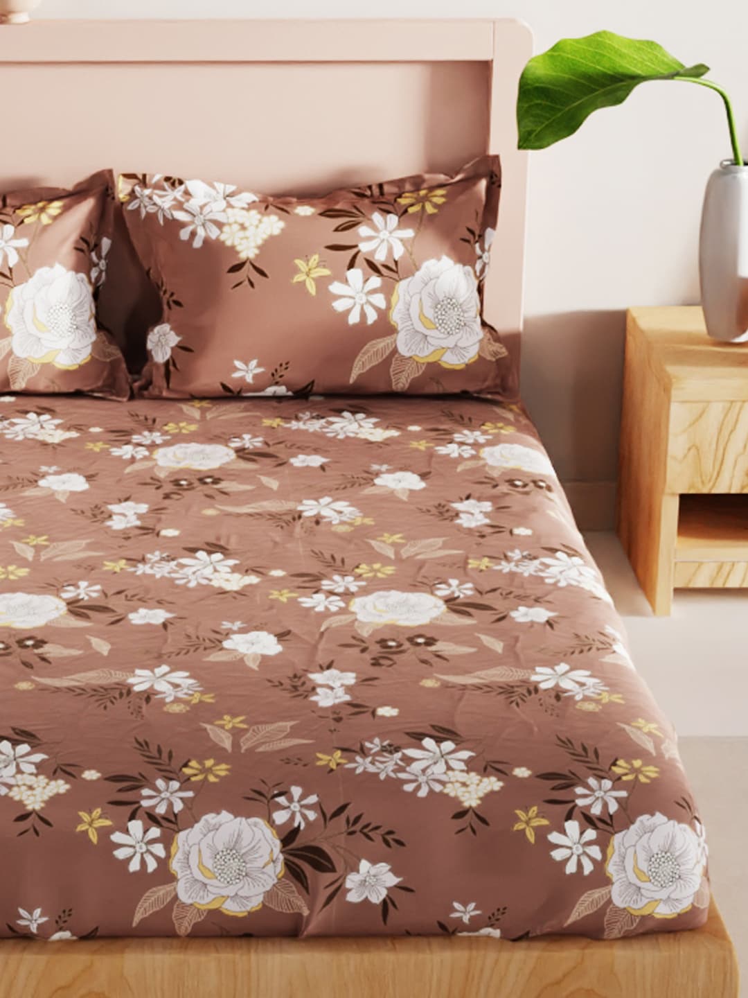 BIANCA Brown & White Floral 186 TC King Bedsheet with 2 Pillow Covers