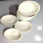 Disposable Bowl
