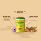 Baidyanath Ashwagandha Churna