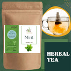 Satvi Wellness Mint Tea | Pudina Tea Bags