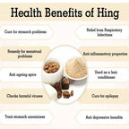 Badshah Masala Premium Hing Powder