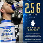 Ronnie Coleman Signature Series Pro Antium (Double Chocolate Cookie) - Distacart