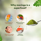 Krishna'S Herbal & Ayurveda Moringa Powder - Distacart