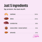 The Whole Truth Energy Bars - Cocoa Cranberry Fudge - Distacart