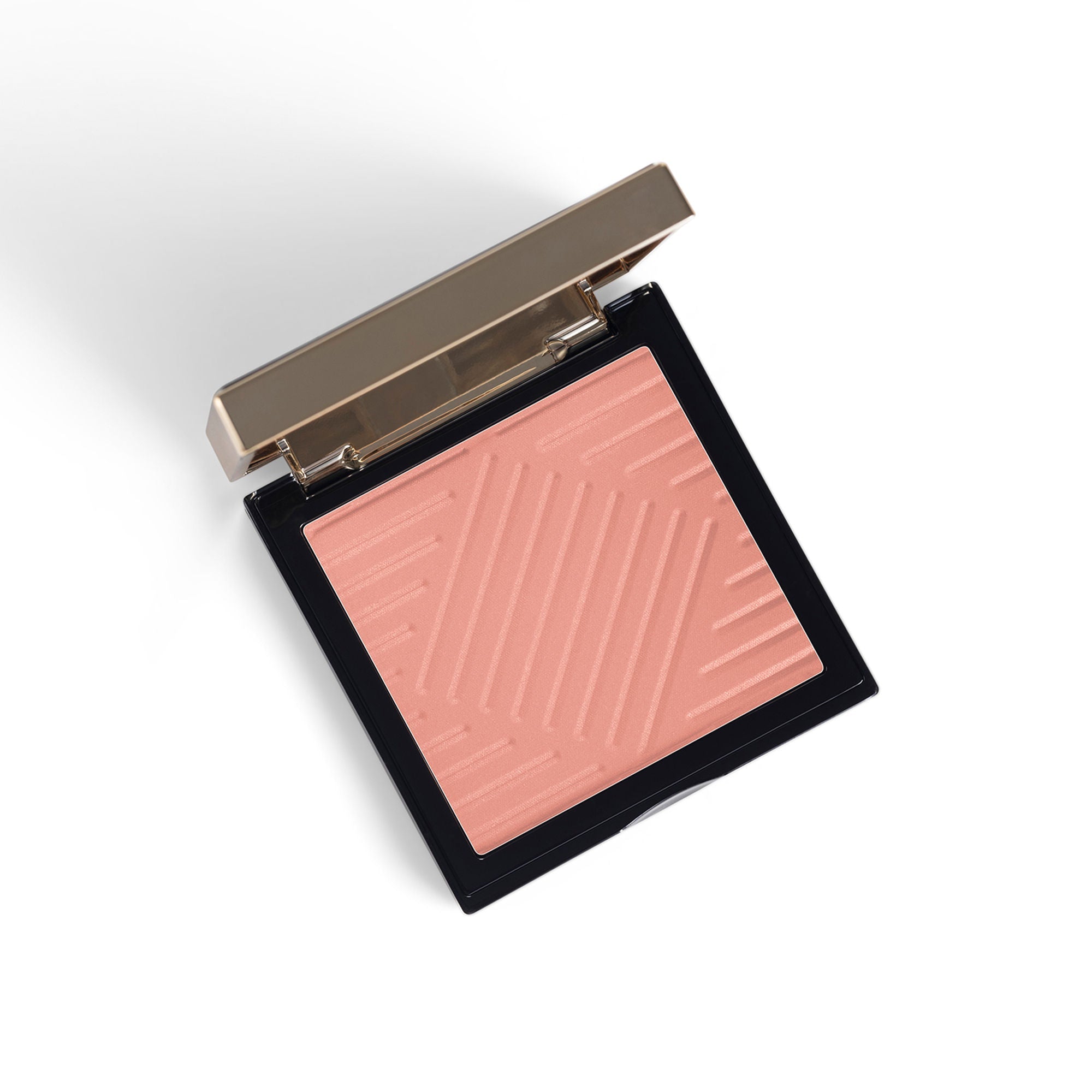 PAC Studio Spotlight Blush - Runway