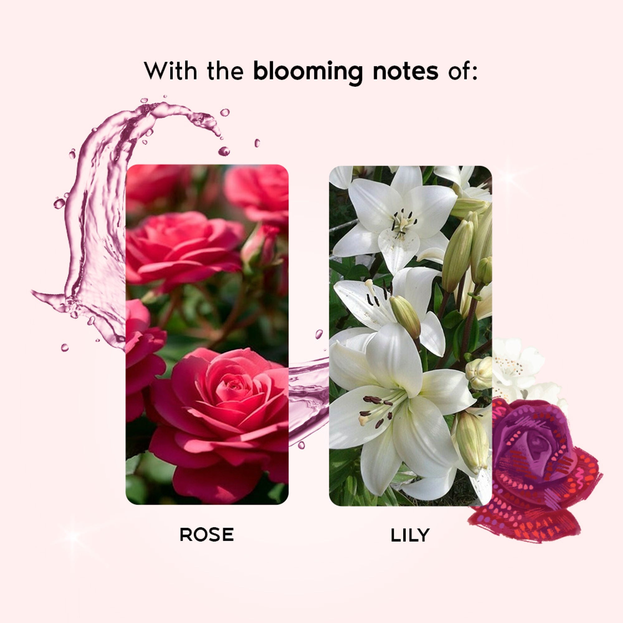 Wanderlust Fragrance Mist For Her - English Country Rose