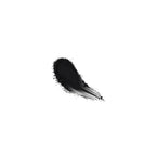 Miss Claire Single Eyeshadow - 824 - Distacart