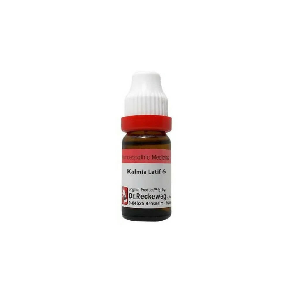 Dr. Reckeweg Kalmia Latif Dilution - Distacart