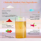 Wellbeing Nutrition Glow Korean Marine & Beauty Collagen Combo: Tropical Bliss & Mango Peach Flavor
