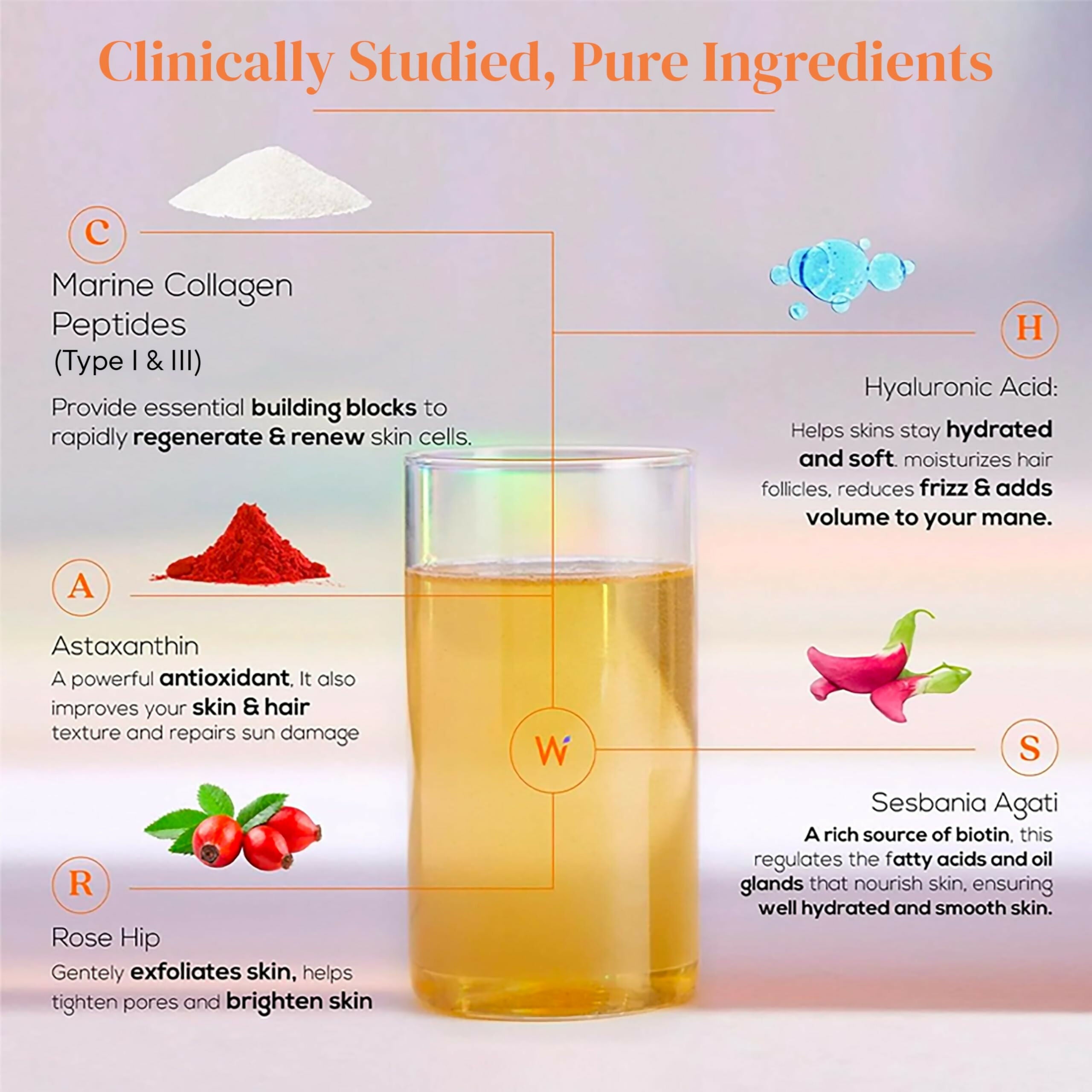 Wellbeing Nutrition Glow Korean Marine & Beauty Collagen Combo: Tropical Bliss & Mango Peach Flavor