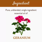 Mitti Se Geranium Essential Oil