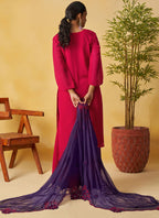 Vegaa Fashion Red Organza Embroidered And Handwork Palazzo Suit - Distacart