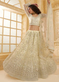 Vegaa Fashion Off White Net Thread Work Wedding Lehenga