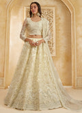 Vegaa Fashion Off White Net Thread Work Wedding Lehenga